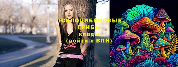 молекула духа Заводоуковск