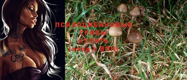 круглые Заволжье