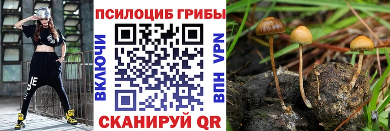 Псилоцибиновые грибы прущие грибы  Купить где  Туймазы 